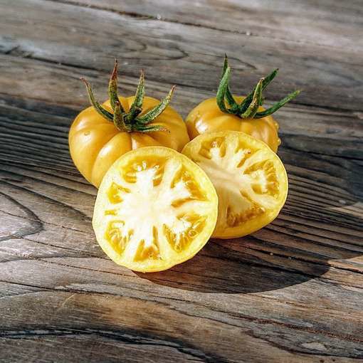 Image of Tomato - DTP