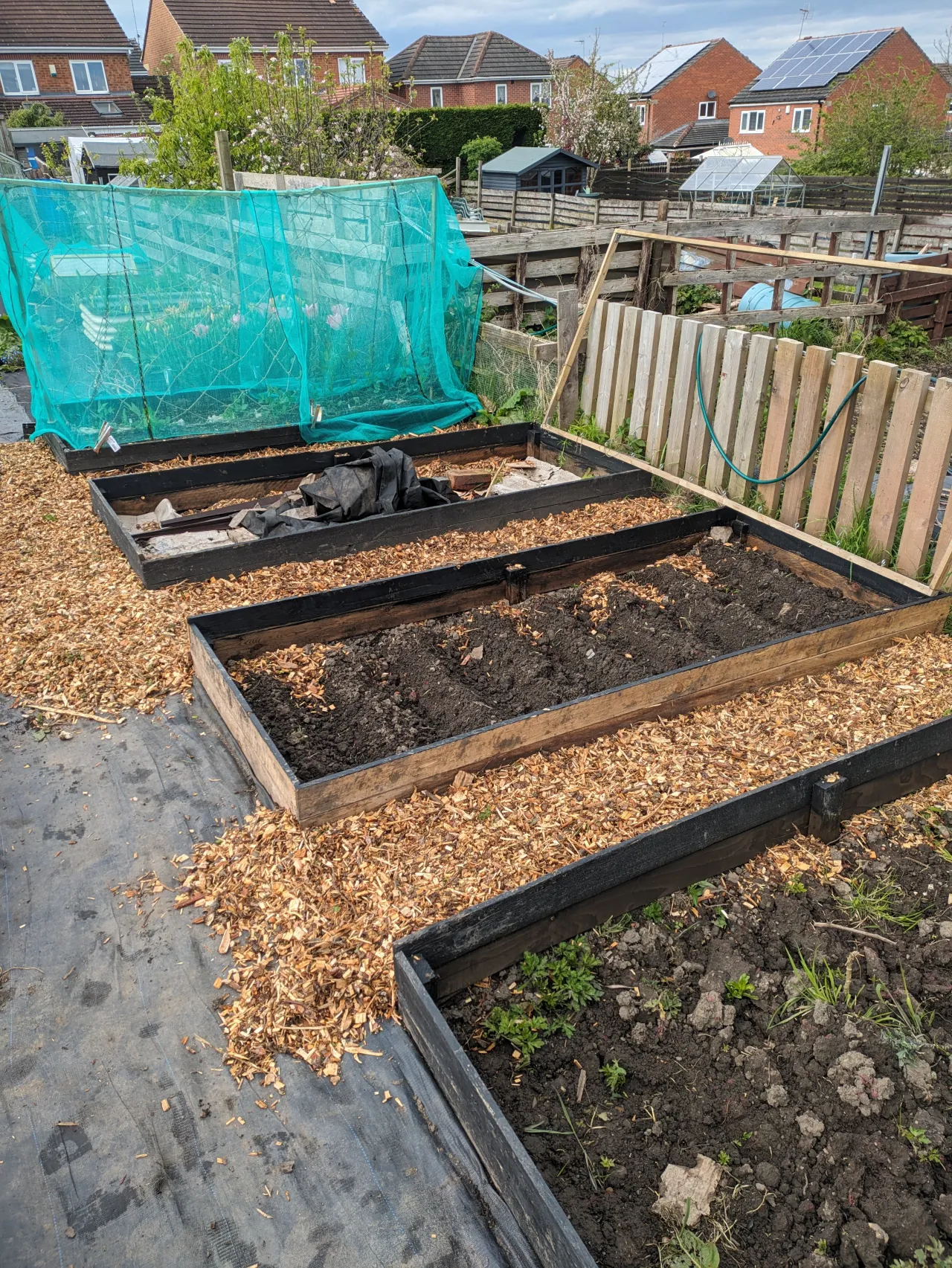 Raised beds can be a money pit. Here’s how to fill one without wasting money.