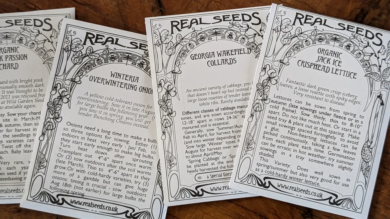 What to Sow in August to maximise Your Autumn Harvest